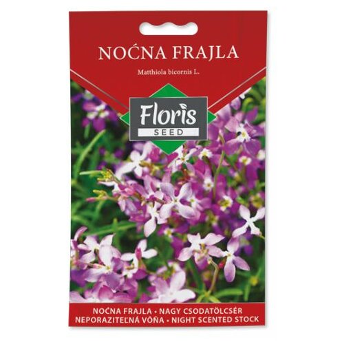Floris seme cveće-noćna frajla 05g FL Slike