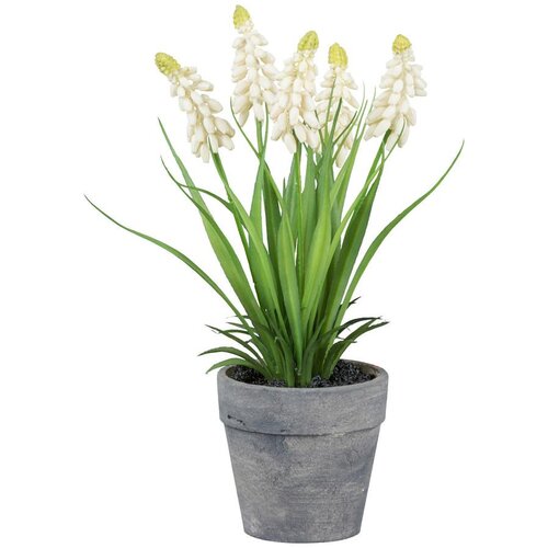 Modern Living Umetna Rastlina Muscari I Cene