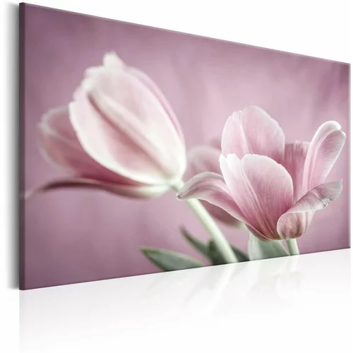  Slika - Romantic Tulips 120x80