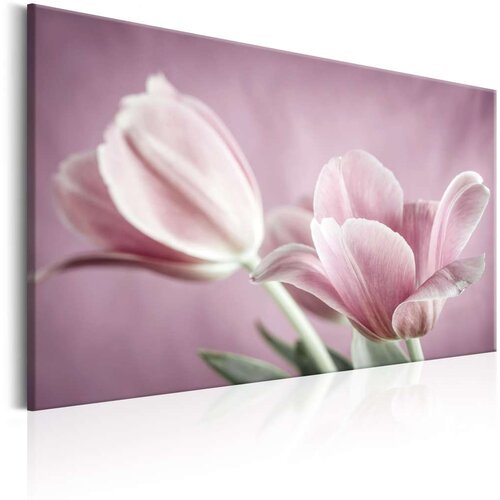  Slika - Romantic Tulips 120x80 Slike