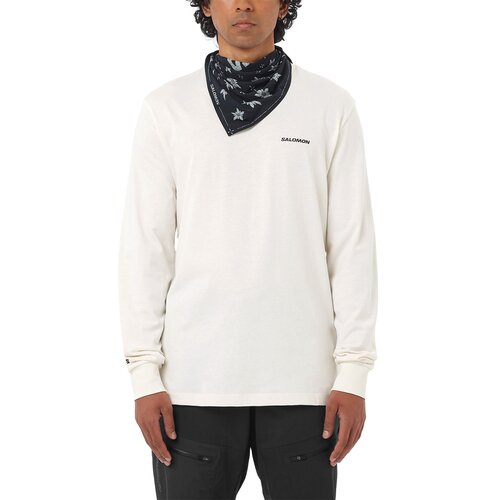 Salomon Chest Logo duks Cene