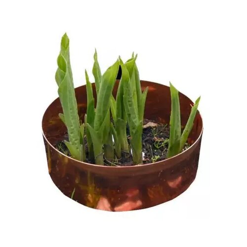 Kopersporen Bakreni obroč proti polžem - 30 cm Cene