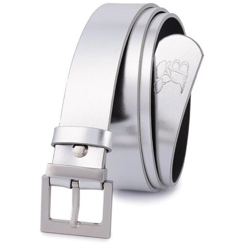 Beltimore D70 Srebrna Slike