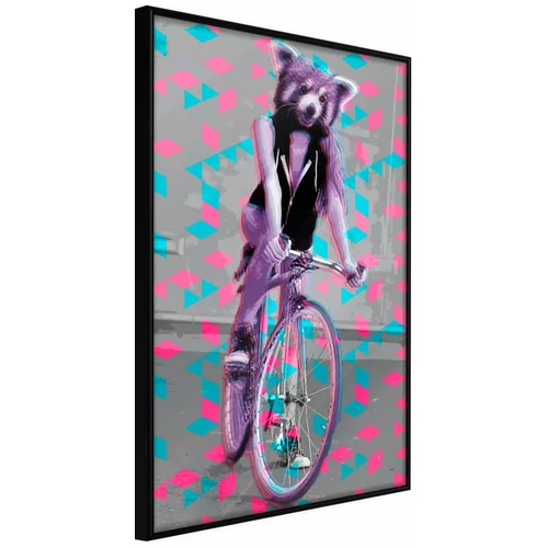 Poster - Extraordinary Cyclist 20x30