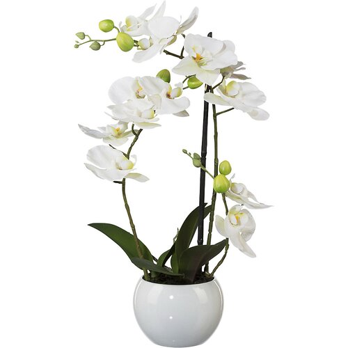  Orhideja Phalaenopsis, višina 420 mm, v keramičnem lončku, beli cvetovi, 3D-tiskanje Cene