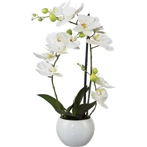  Orhideja Phalaenopsis, višina 420 mm, v keramičnem lončku, beli cvetovi, 3D-tiskanje