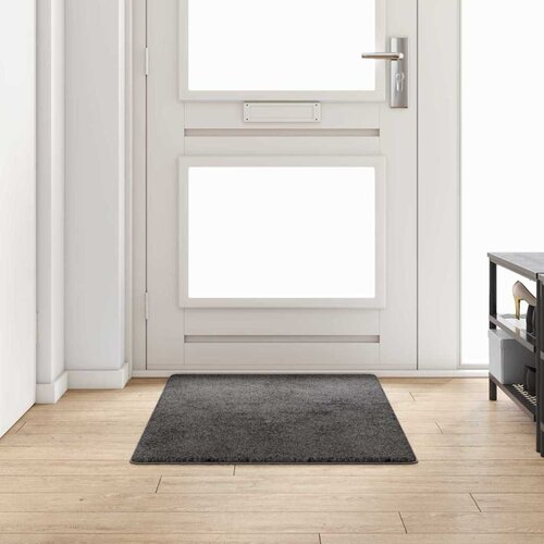  Tepih trkač Siva 80 x 150 cm 100% Polipropilen Tuft Cijene
