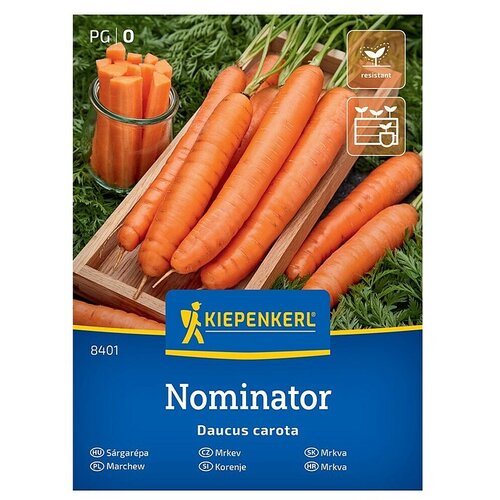 KIEPENKERL Zelenjavna semena Korenje Nominator F1 (Daucus carota subsp. sativus, Čas žetve: Junij) Cene