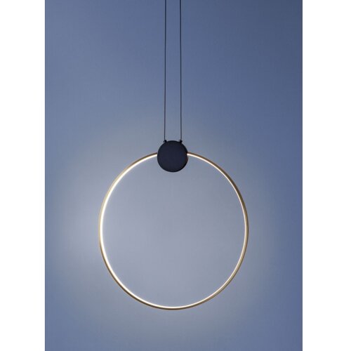  Redo 01-3107 - LED luster na sajli ATOM LED/20W/230V &amp;Oslash; 60 cm Slike