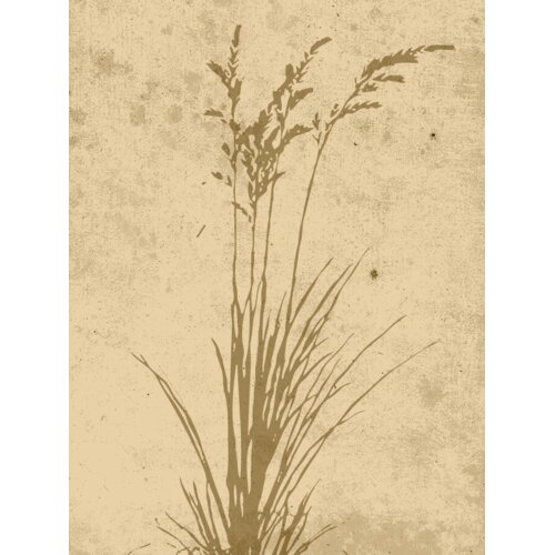 Venture Home poster Plant Art 30 × 40 cm, bež Cene