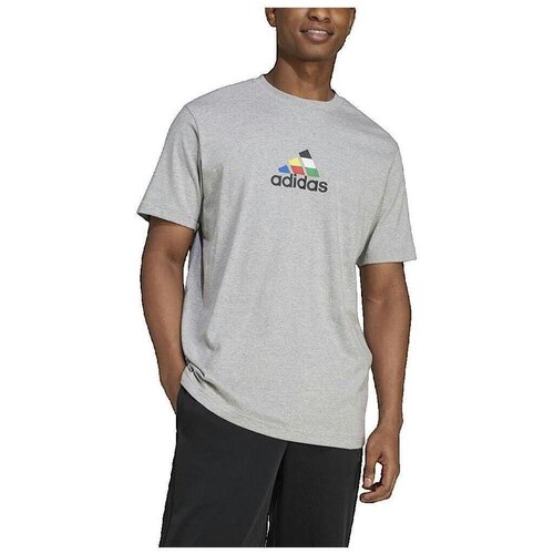 Adidas Majice s kratkimi rokavi T-shirt House Of Tiro Nations gris Siva Cene