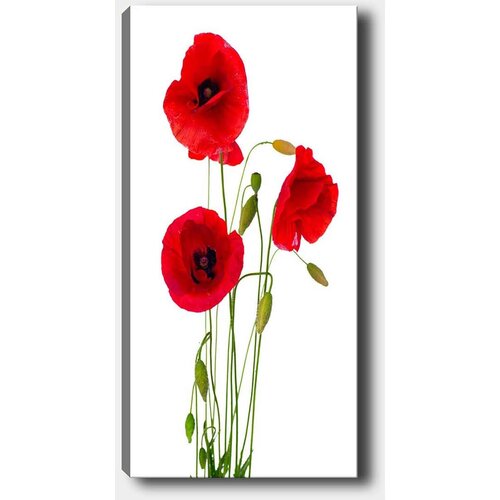 Opviq Slika na platnu 50x120cm Cijene