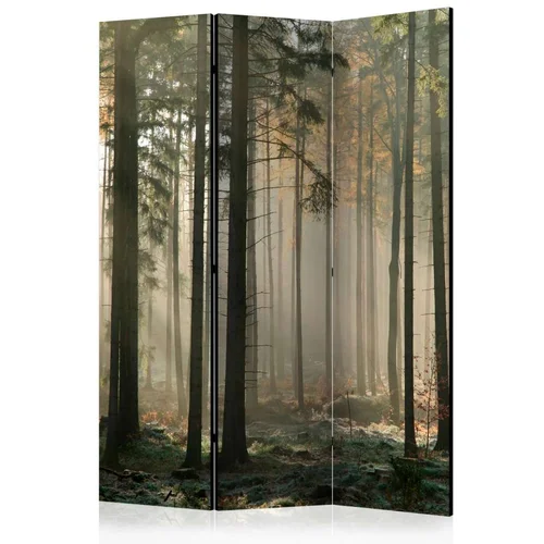  Paravan u 3 dijela - Foggy November morning [Room Dividers] 135x172