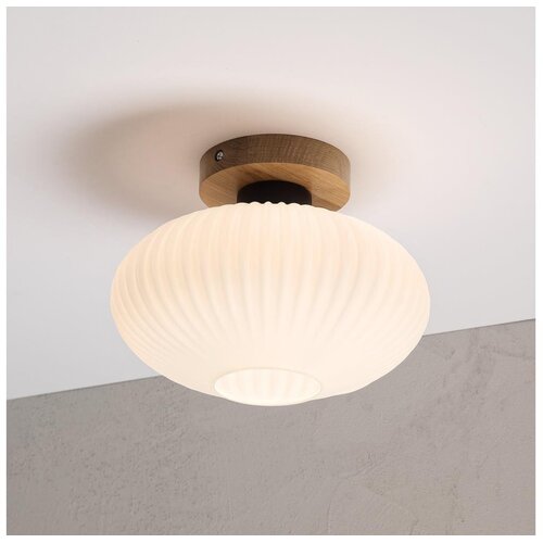  Plafonsko svetlo HARMA WOOD 1xE27/15W/230V hrast/bela prečnik 25 cm Cene