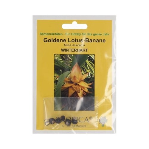 TROPICA Zlata lotusova banana Cene