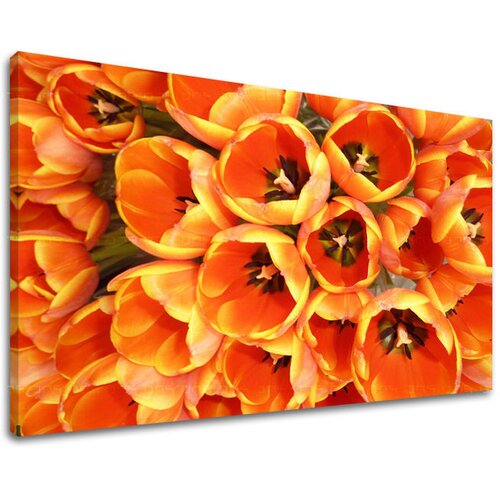  Slike na platnu cveće  (moderne slike na platnu) Cene