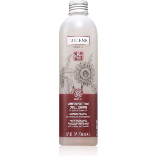 Kemon Group Shampoo Protezione &amp;scaron;ampon za očuvanje boje 250 ml Slike