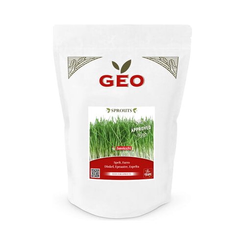 Bavicchi Bio kalčki "pira" - 400 g Cene