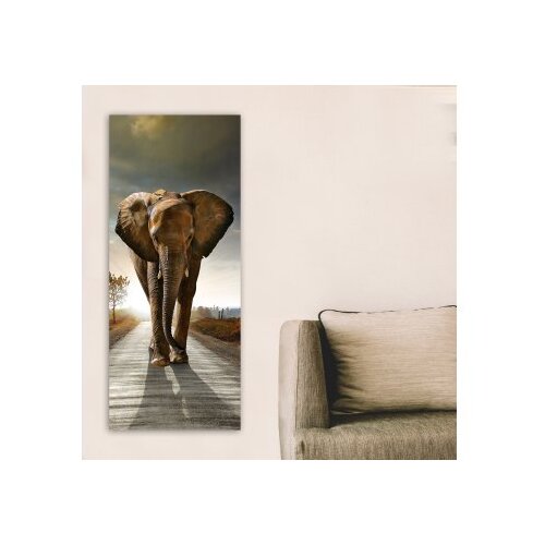 Wallity Slika DKY260414424_50120, 50x120cm Slike