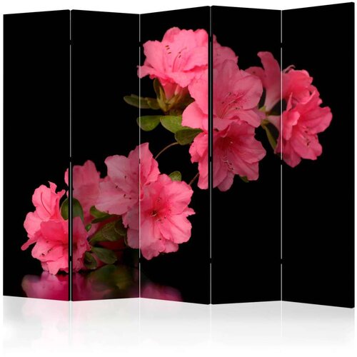  Paravan u 5 dijelova - Azalea in Black II [Room Dividers] 225x172 Cijene