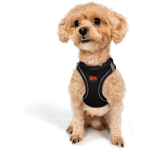 Paws & Whiskers am za pse air-mesh, crni Cene