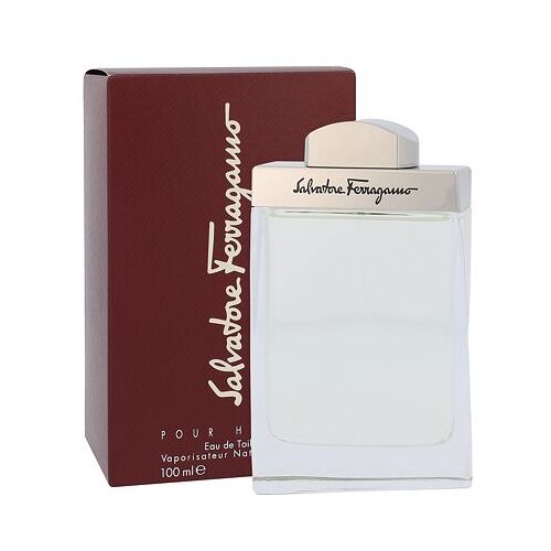Salvatore Ferragamo Pour Homme toaletna voda 100 ml za moške Cene