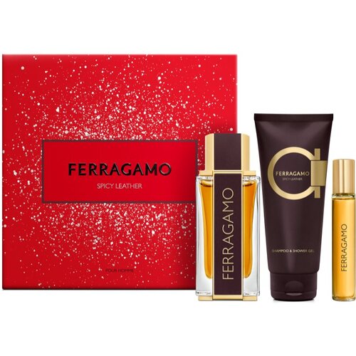 Ferragamo Spicy Leather poklon set za muškarce Cene