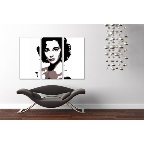  Ročno izdelana slika POP Art Elizabeth Taylor 3-delna  (POP) Cene