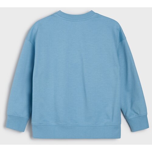 Sinsay Crewneck majica s printom medvjedića od flisa Slike