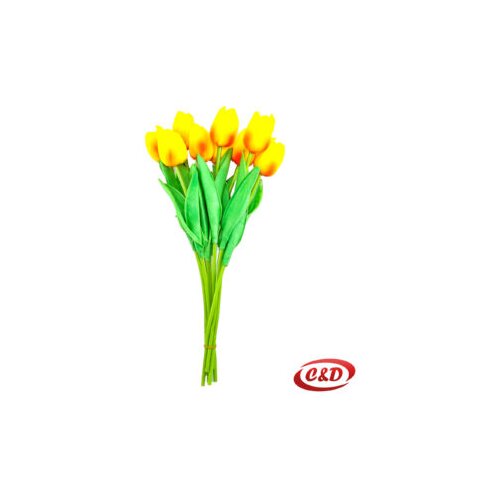  Tulipan 1 komad Slike