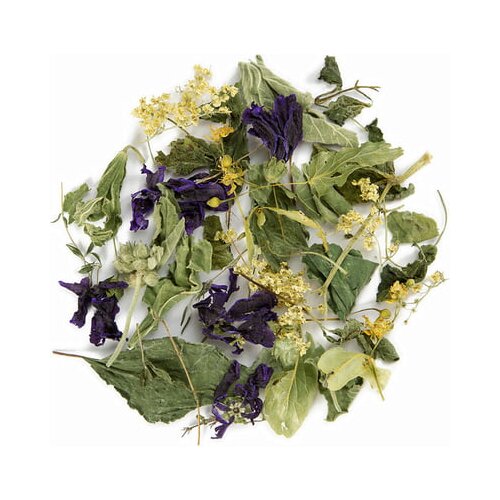 tea exclusive Ekološka alpska zelišča zimska lipa Cene