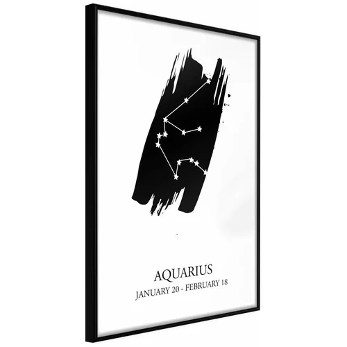  Poster - Zodiac: Aquarius I 40x60