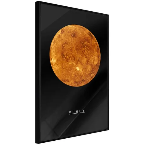  Poster - The Solar System: Venus 30x45