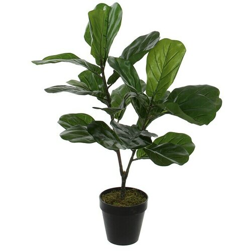  Umjetna biljka Ficus lyrata (Visina: 75 cm, Zelene boje, Plastika) Cijene