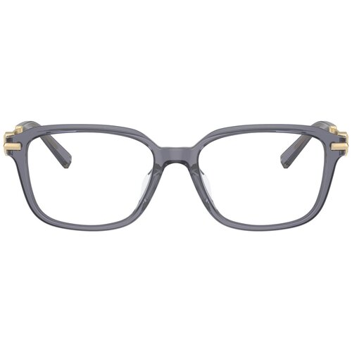 Tiffany Naočare TF 2253D 8405 Cene