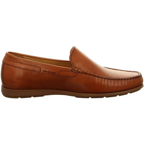 Mephisto Algoras Smeđa Slike