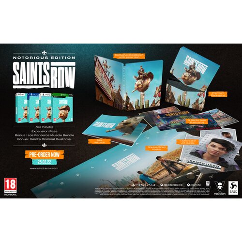 Deep Silver Saints Row - Notorious Edition (PC) Slike