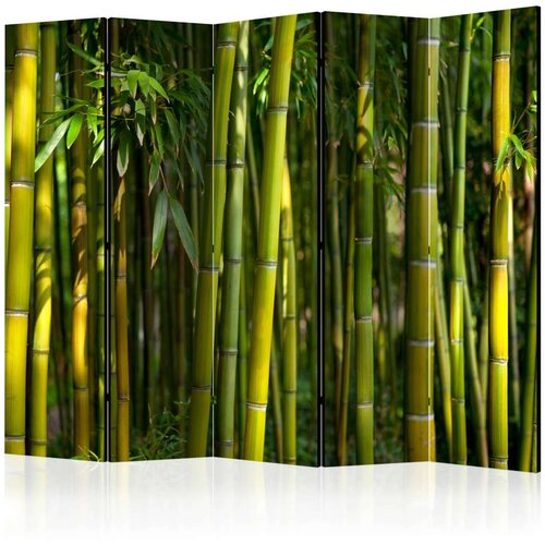  Paravan u 5 dijelova - Oriental Garden II [Room Dividers] 225x172 Slike