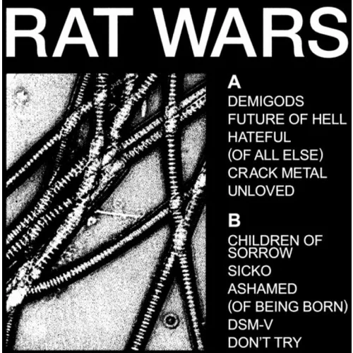 Health (Band) - Rat Wars (LP)