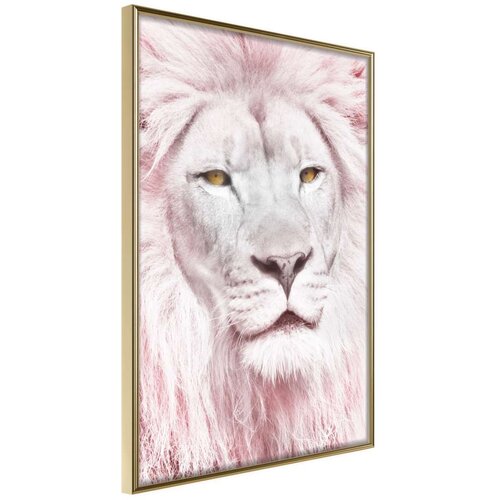  Poster - Dreamy Lion 30x45 Slike