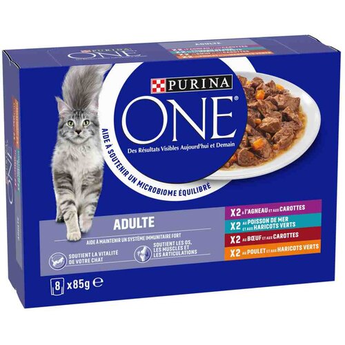  Ekonomično pakiranje Purina ONE ADULT 16 x 85 g - Mješavina (4 vrste) Cene