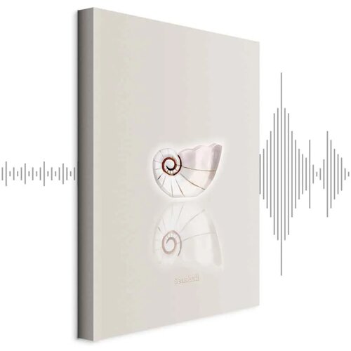  Slika - Ceramic Shell (1 Part) Vertical 80x120 Cijene