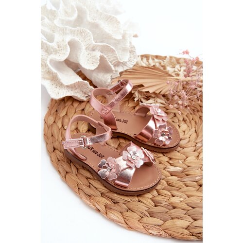 Boto Children's Sandals Adorned with Flowers Fastened with Velcro Pink Fagossa Cene