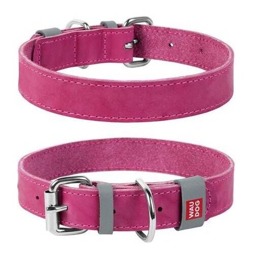 CLR WD 25 cm, Roze A2202456-Ogrlica za pse 12 mm/19 Cene