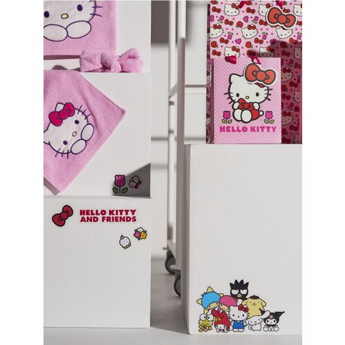 Sinsay Zidne naljepnice Hello Kitty and Friends Cijene