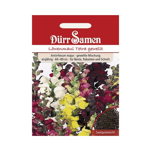 Dürr Samen Odolin Tetra Mix Cene