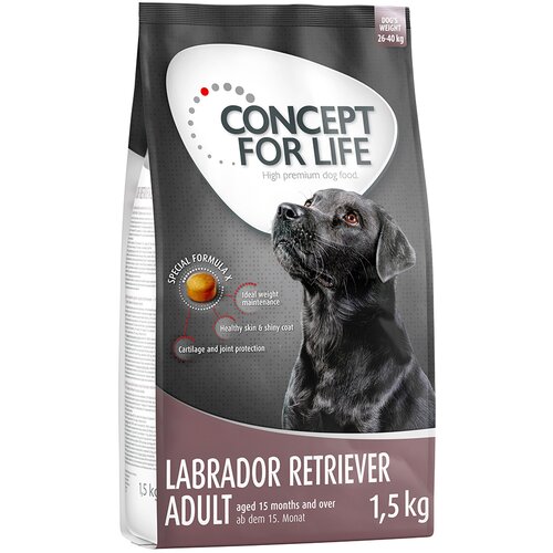 4 x 1 kg / 1.5 kg Concept for Life po posebni ceni! - 4 x 1,5 kg Labrador Retriever Cijene