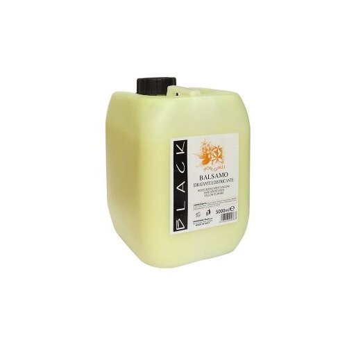  Balzam za sve tipove kose Black – 5000 ml Cene