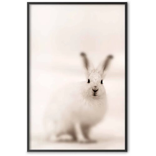  Plakat - Fearful Look 40x60 Crni okvir Slike