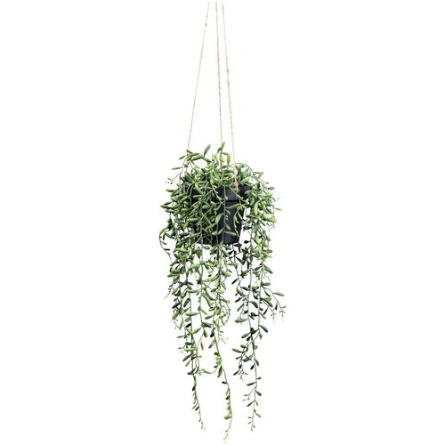 Modern Living Umetna Rastlina Senecio Herreianus Ii -Paz- Cene
